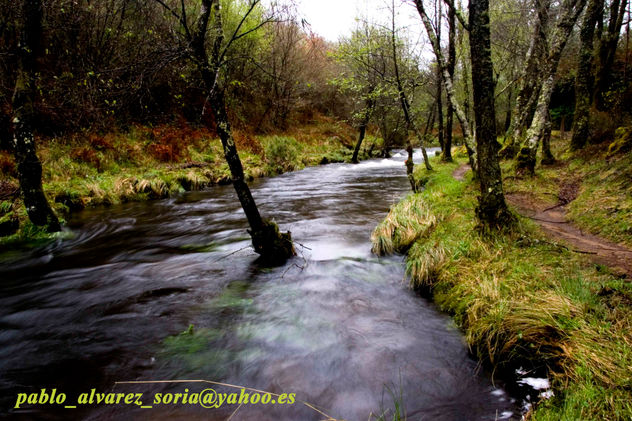 PASEO POR EL RÍO