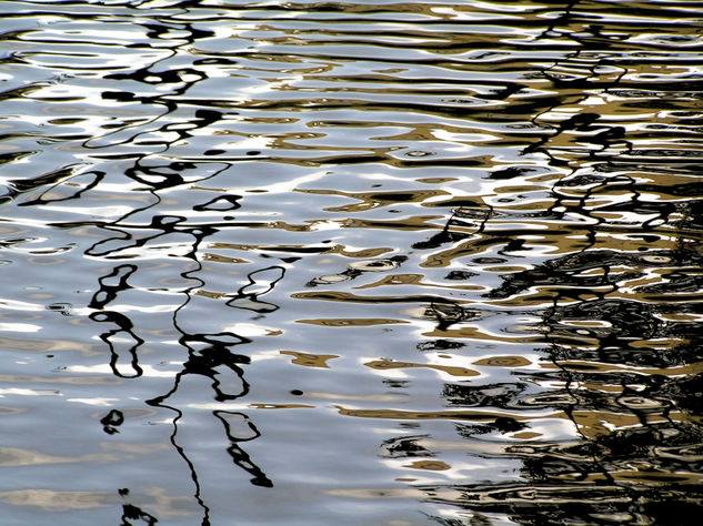 Aguas estanque Castelar Badajoz 