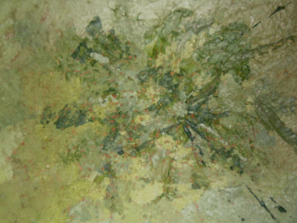 Etudio en verde