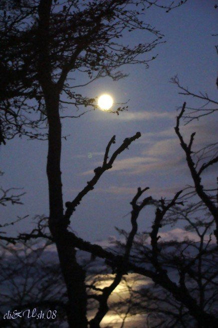 La ramita que sostiene a la luna.