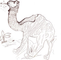 El camello