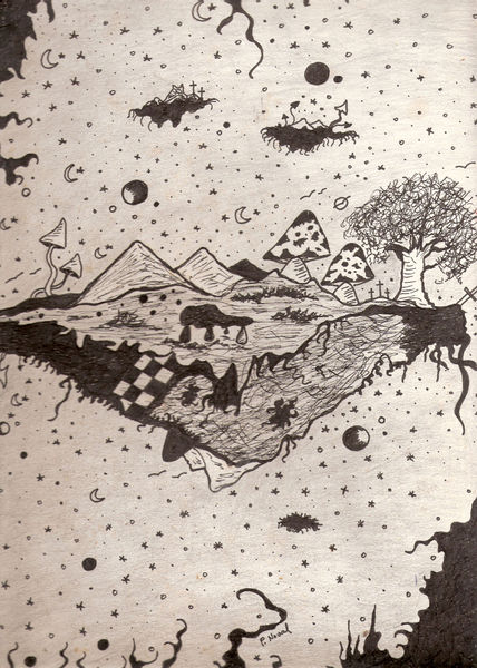 Mi primer dibujo