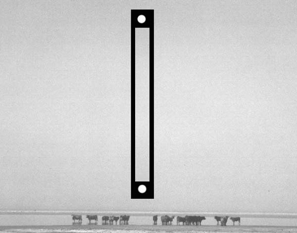 Exotransito en Tarifa 22 Naturaleza Blanco y Negro (Química)