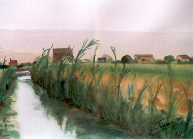 la albufera