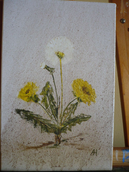 Flor / Blume 2