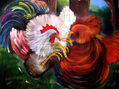 PELEA DE GALLOS