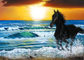 Serie Marinas y caballos No. 4