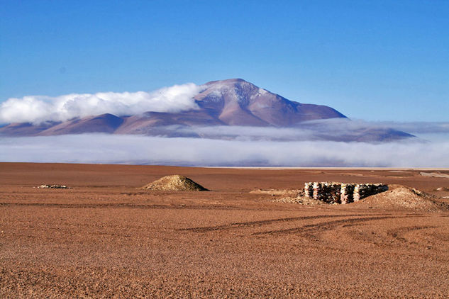 Desierto Nature Color (Manual)