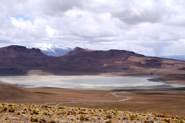 Laguna blanca 