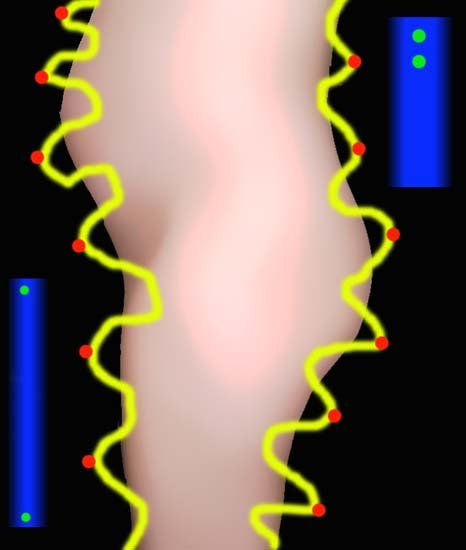 Maternidad 6 Conceptual/Abstract Color (Digital)