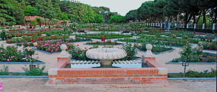 Rosaleda