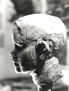 busto