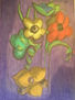 flores petalos