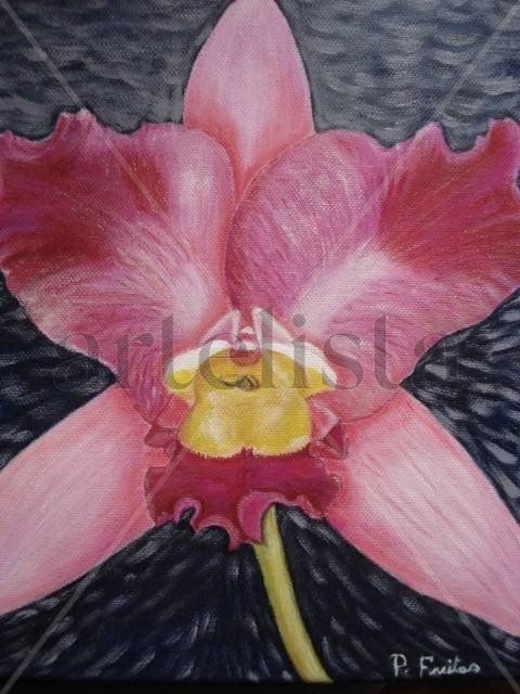 Orquídea rosa