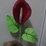 flores de fomy thumbnail 1
