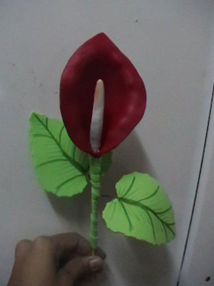 Anturio Rojo en fomy