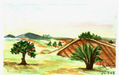 Dos árboles en el campo