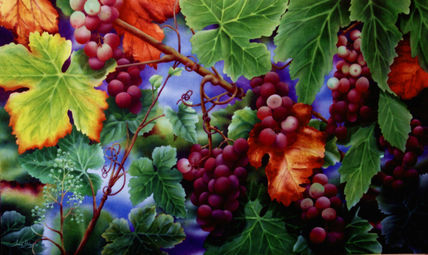 "Uvas"
