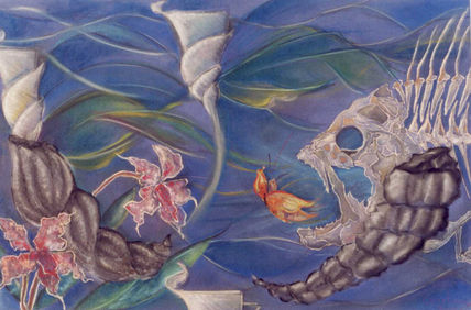 Mariposa de mar