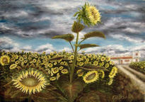 Girasoles