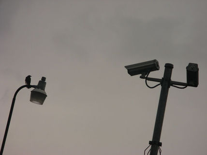 Observador