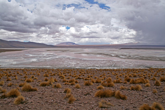 Laguna roja 