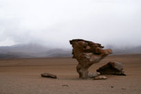 Árbol de piedra