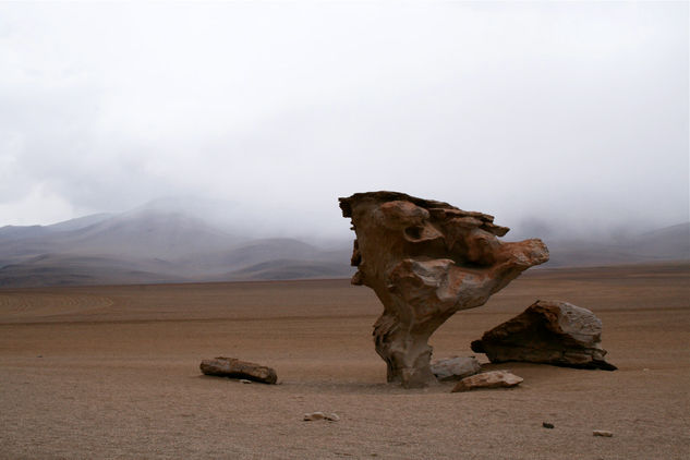 Árbol de piedra 