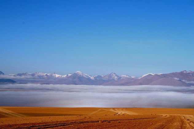 Desierto rojo