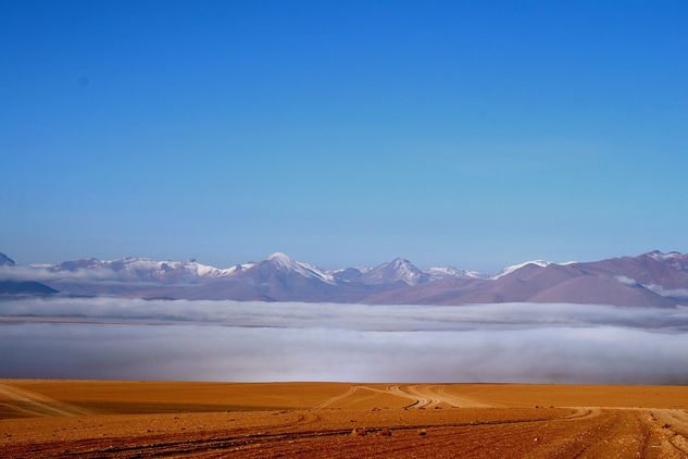 Desierto rojo 