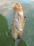 Artes de Pesca