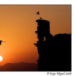 Paisaje thumbnail 2
