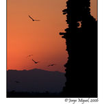 Paisaje thumbnail 1