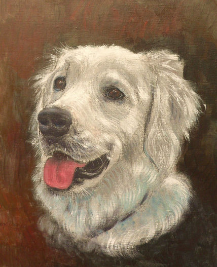 Perrito