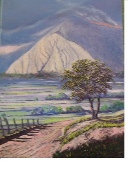 Incendio en Terepaima