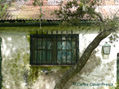 VENTANA Y TALA