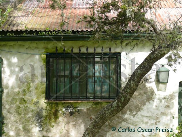 VENTANA Y TALA