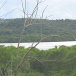 mi panama thumbnail 2
