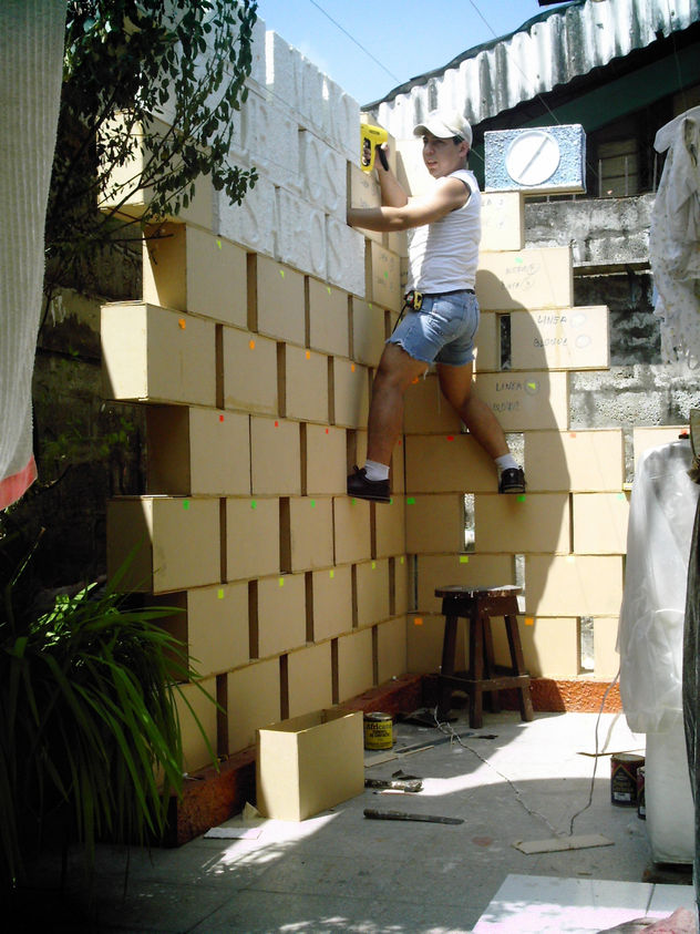 El muro de los sapos la construcciön
