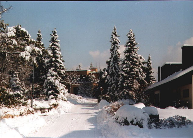 WINTER SCHWEIZ 