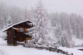 SCHWEIZ