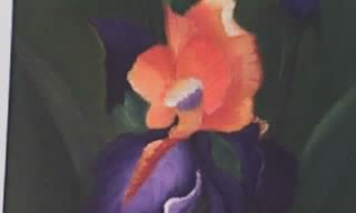 mis flores
