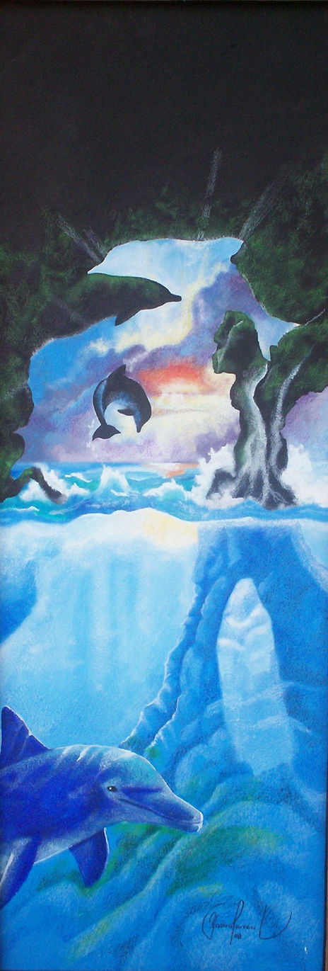 Delfines surrealistas