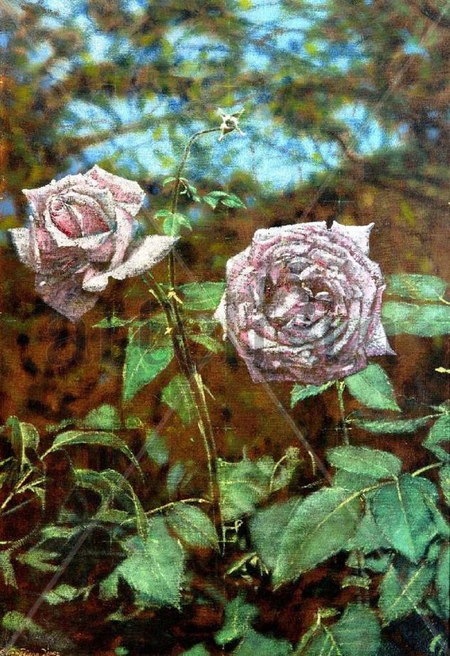 Dos rosas