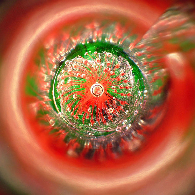 nucleo2