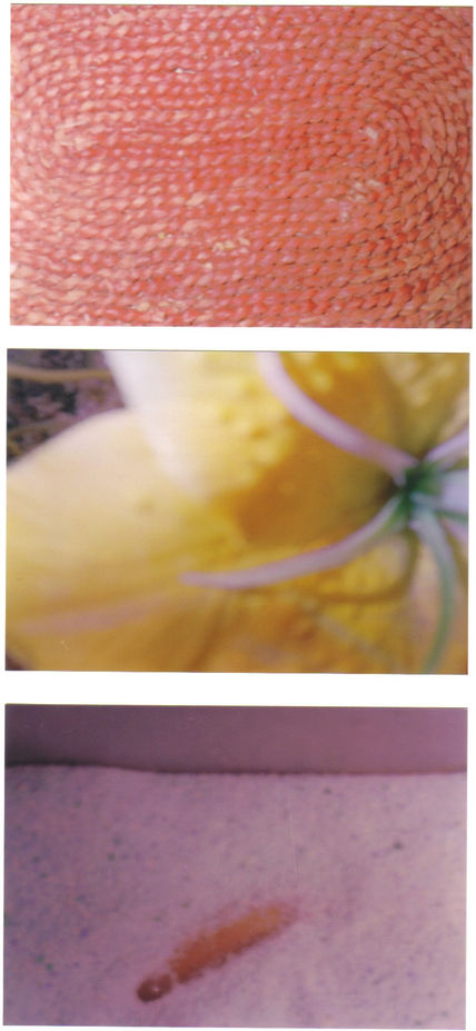Texturas2