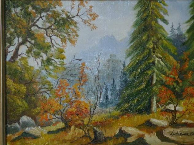 paisaje5