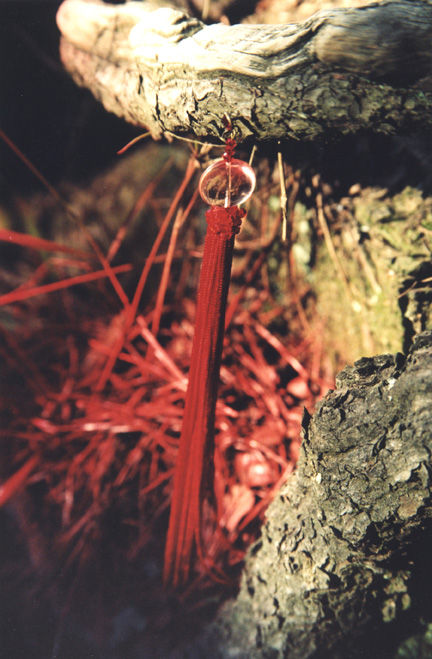 naturaleza