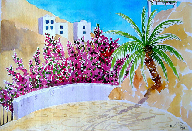 el patio de las buganvillas