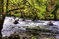 Río en primavera